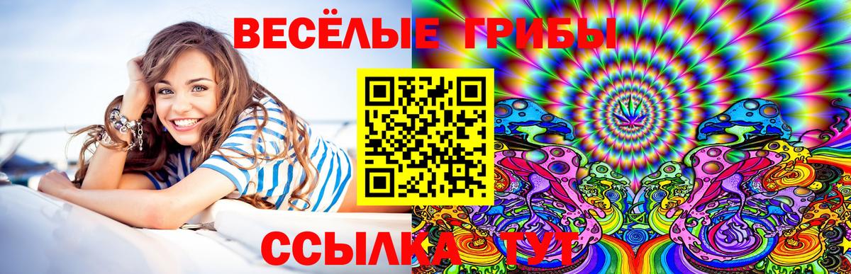 Псилоцибиновые грибы Psilocybe  Галлюциногенные грибы мухоморы  купить наркоту  Сочи  Вход с VPN 